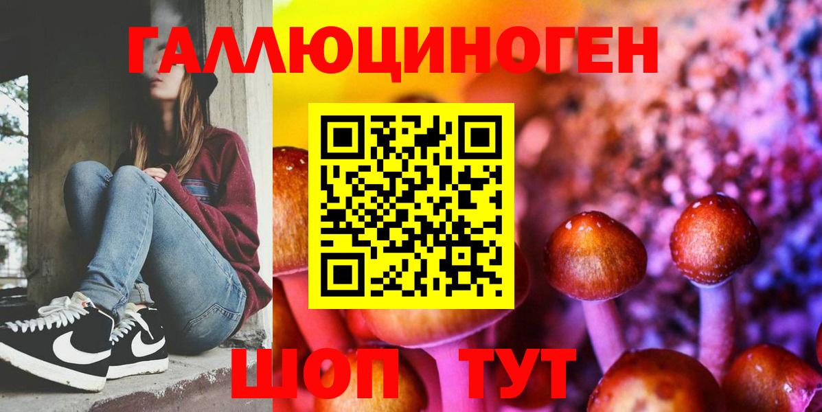 Псилоцибиновые грибы GOLDEN TEACHER Луга