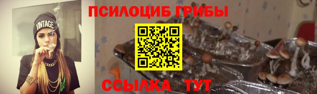 Луга  где купить наркоту  Вход с VPN  Псилоцибиновые грибы MAGIC MUSHROOMS 